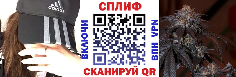 Где найти наркотики Петровск Alpha-PVP ГАШИШ COCAIN