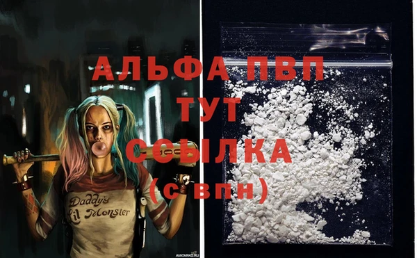 твердый Новозыбков