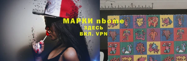 твердый Новозыбков