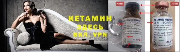 твердый Новозыбков