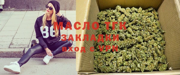 твердый Новозыбков