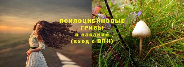 СК Нея