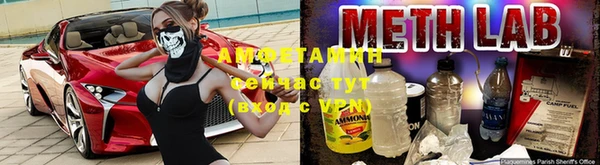 твердый Новозыбков