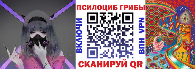 как найти   Петровск  Галлюциногенные грибы Psilocybe 