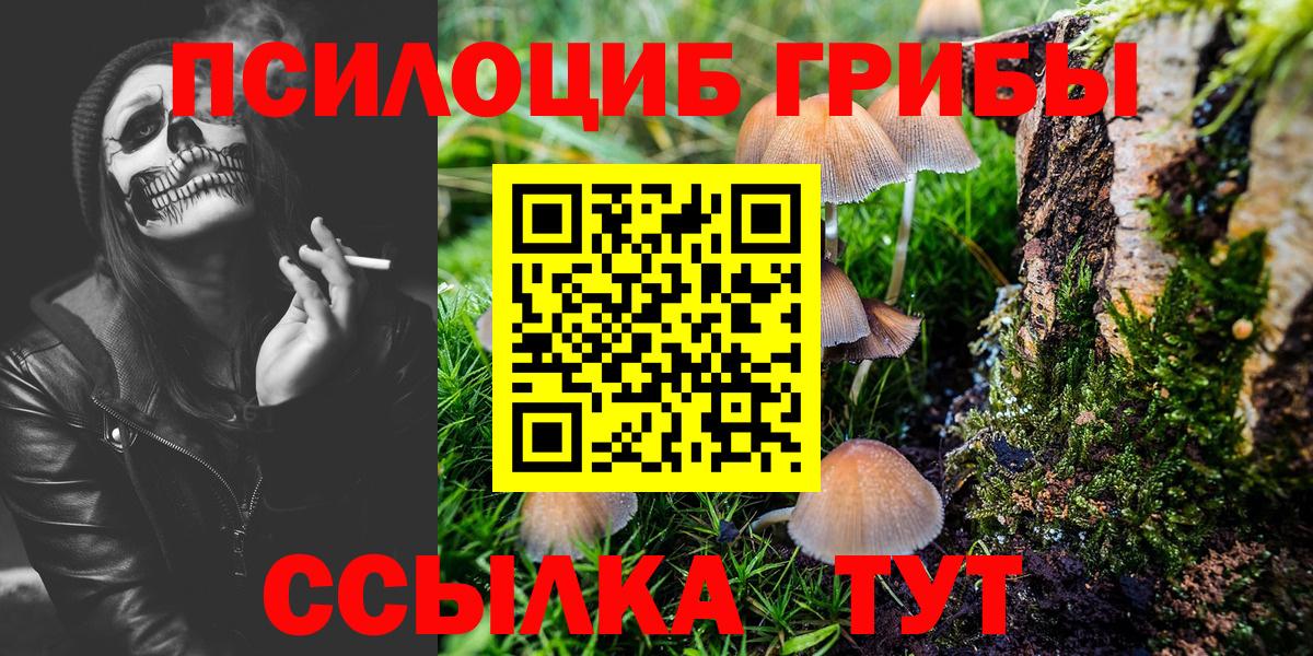 Псилоцибиновые грибы прущие грибы  Вход с VPN  Петровск 