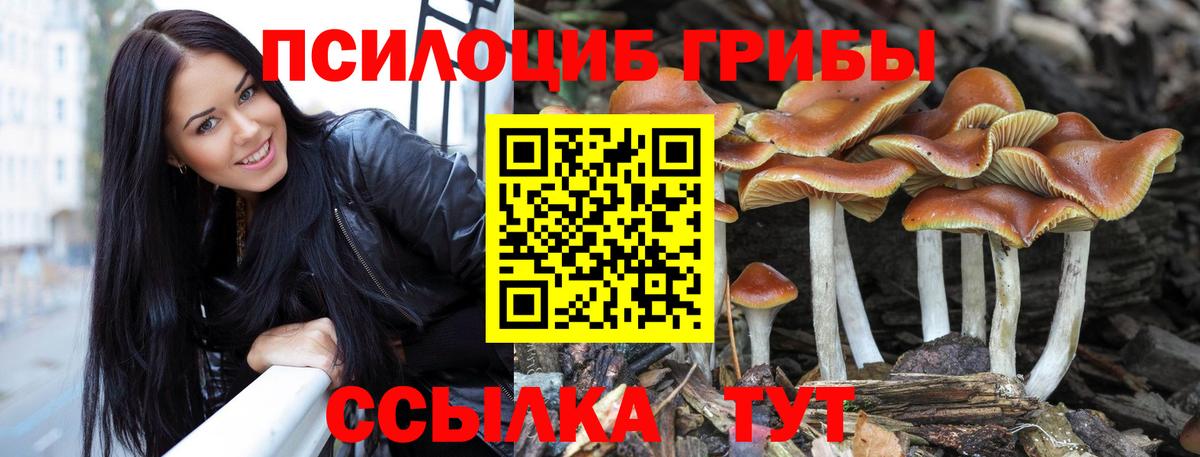 Псилоцибиновые грибы ЛСД Петровск